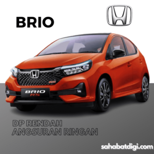 BRIO